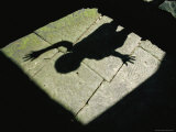 The Shadow of a Child with a Raised Hand Falls onto a Stone Floor
