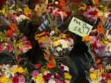 Bundles of Flowers for Sale by a Street Vendor in New York