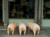 Three Plastic Pigs Window Shopping in New York