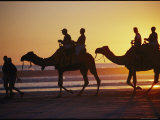 People Riding Camels on a Beach