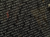 Close View of Names Carved in the Vietnam Veterans Memorial