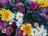 Bouquets of Colorful Flowers for Sale