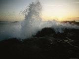 Sunlight Shines Through a Crashing Wave at Yachats State Park