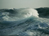 Close View of a Cresting Wave