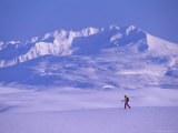 A Lone Traveler Hikes Through the Tundra Landscape