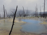 Hot Spring  Upper Geyser Basin