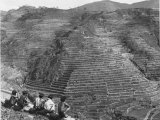 A Group of People Look at Terraced Rice Paddies