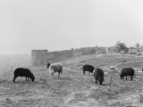 The East Tower of the Acropolis Walls  Once Used as a Prison