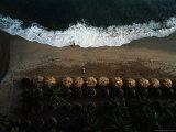 Palm Cabanas Line the Beach at Acapulco