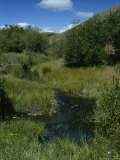 Grassy Lemhi Pass