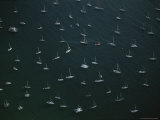 An Aerial View of Scores of Sailboats at Anchor