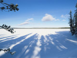 Frozen and Snow-Covered Shoshone Lake  Yellowstone National Park