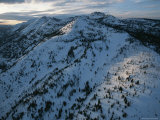 An Elevated View of Snow-Covered Mountains Dotted with Trees
