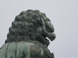 A Bronze Lion Guards the Grounds of the Forbidden City