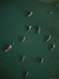 An Aerial View of a Group of Boats at Anchor