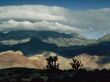 Scenic View of Red Rock Canyon National Conservation Area