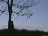 A Young Girl Leans against a Leaf-Less Tree on a Hill