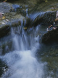 A Gentle Waterfall Cascades over Smooth Rocks with Autumn Leaves