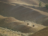 Horseback Riders in the Hills of Grand Teton National Park