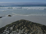 Beach with Seaweed at Israelite Bay