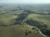 An Aerial View of a Grassland with a River Running Through It