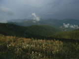 View from Wildflower Meadow of the Rockies Bitterroot Range