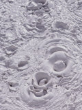Mud Pot Detail  Pocket Basin