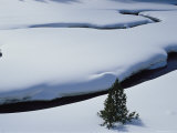 Snow-Covered Water  Virginia Creek  Wyoming