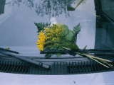 A Bouquet of Flowers Left on Someones Windshield