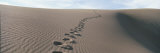 Footprints in the Sand