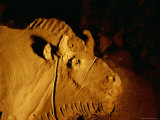 Detail of a Bison Shaped from Clay Approximately 14 000 Years Ago