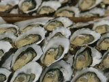 Oysters on the Half-Shell Glisten with Briny Sweetness