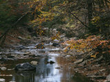 Autumnal View of This Picturesque River