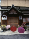 Azaleas Bloom Outside a Doorway Where Two Colorful Umbrellas Lie