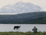 A Photographer Takes a Picture of a Bull Moose Wading in Warden Lake