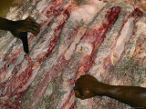 An Elephants Carcass is Being Butchered for Food by People Who Live in the Area