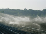 Field Irrigation  Provence Region  France