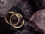 Gold Snake Bracelets and a Pair of Earrings Unearthed at Herculaneum