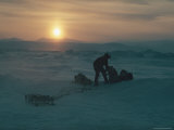 A Man in a Parka Hitches Huskies to a Dogsled