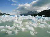 Chunks of Ice Cover the Frozen Surface of Lago Grey