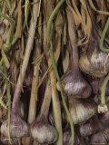 Shallots at a Market in Provence