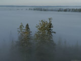 A Heavy Fog Settles Across a Valley in the Olympic Mountains