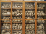 Human Skulls and Femurs Fill a Display Case at Nea Moni Monastery