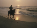 A Silhouetted Horse and Rider on an Early Morning Ride Along a Beach