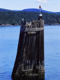 A Gull Sits Atop a Piling with a Navigational Light