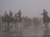 Chincoteague Cowboys Herd Their Wild Ponies for the Annual Pony Swim