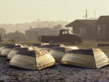 Rows of Upturned Wooden Rowboats on Chincoteague Island