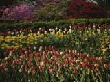 A Colorful Combination of Garden Flowers at the Wardman Park Hotel