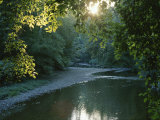 A Sunset View of Rock Creek in Rock Creek Park
