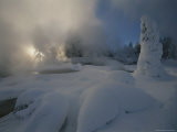 Snow-Covered Trees and Steam Rising from Thermal Ground